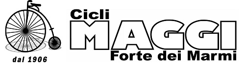 Cicli Maggi con biciclo copia