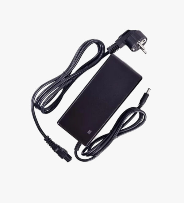Battery charger for Taga Family Power